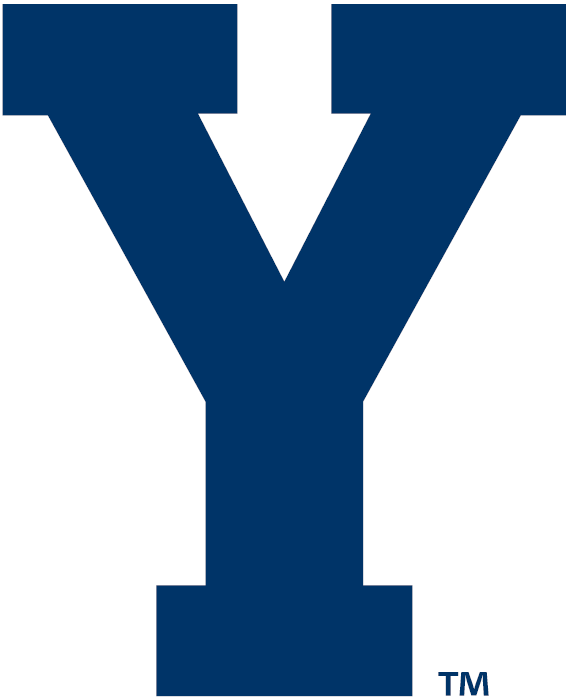 Brigham Young Cougars 2005-Pres Alternate Logo v3 diy fabric transfer
